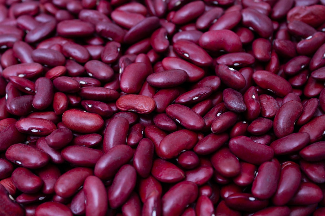 Kidney Bonen - Kidney Beans