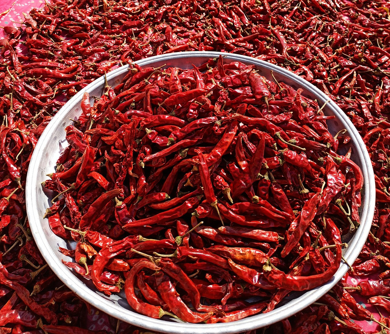 Chili Heel Chili Whole