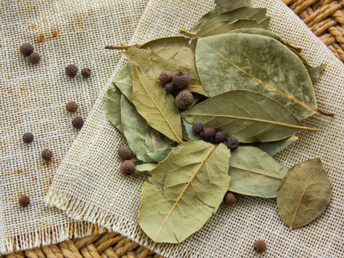 Bay Leaves