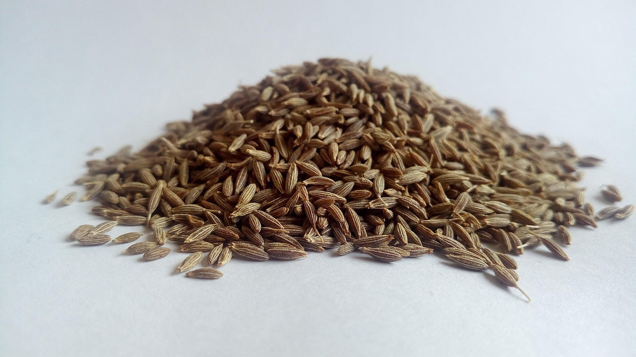 Cumin Whole -Komijn heel